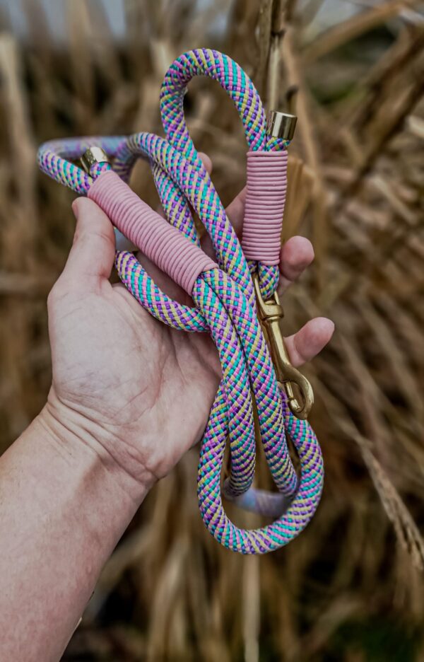 Cityscape Braid Leash - Pink