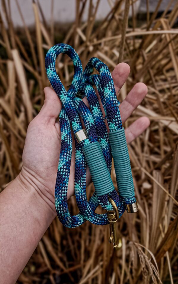 Cityscape Braid Leash - Turquoise