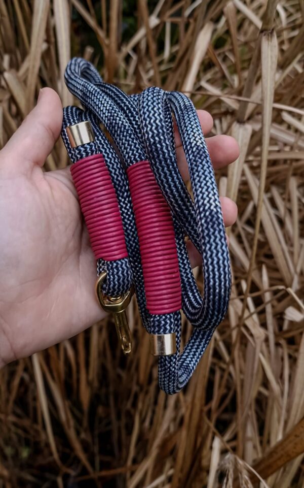 Cityscape Braid Leash - Red