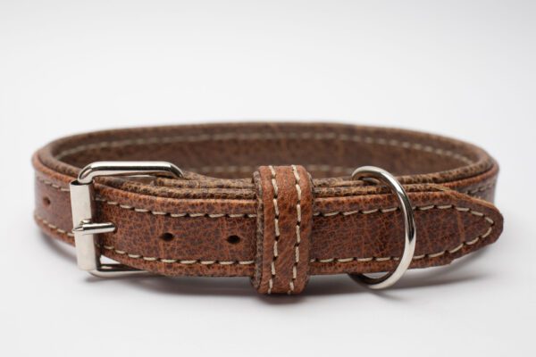 James Bone Collar - Image 2