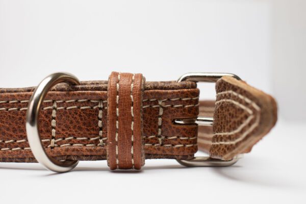 James Bone Collar - Image 3