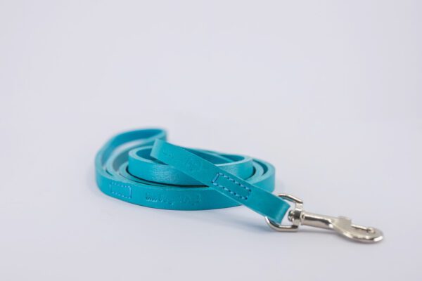 Jimmy Chew Leashes - Image 4