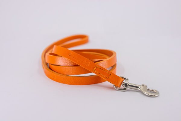 Jimmy Chew Leashes - Image 2